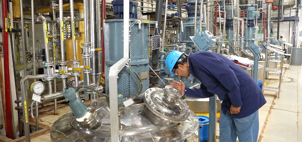 Chemical Engineer Inspecting Synthesis Vessel